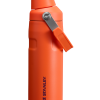 IceFlow™ Bottle with Fast Flow Lid